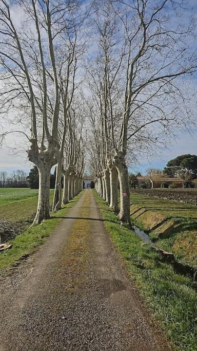 Hebergement - Canal Du Midi Saint-Martin-Lalande Extérieur photo